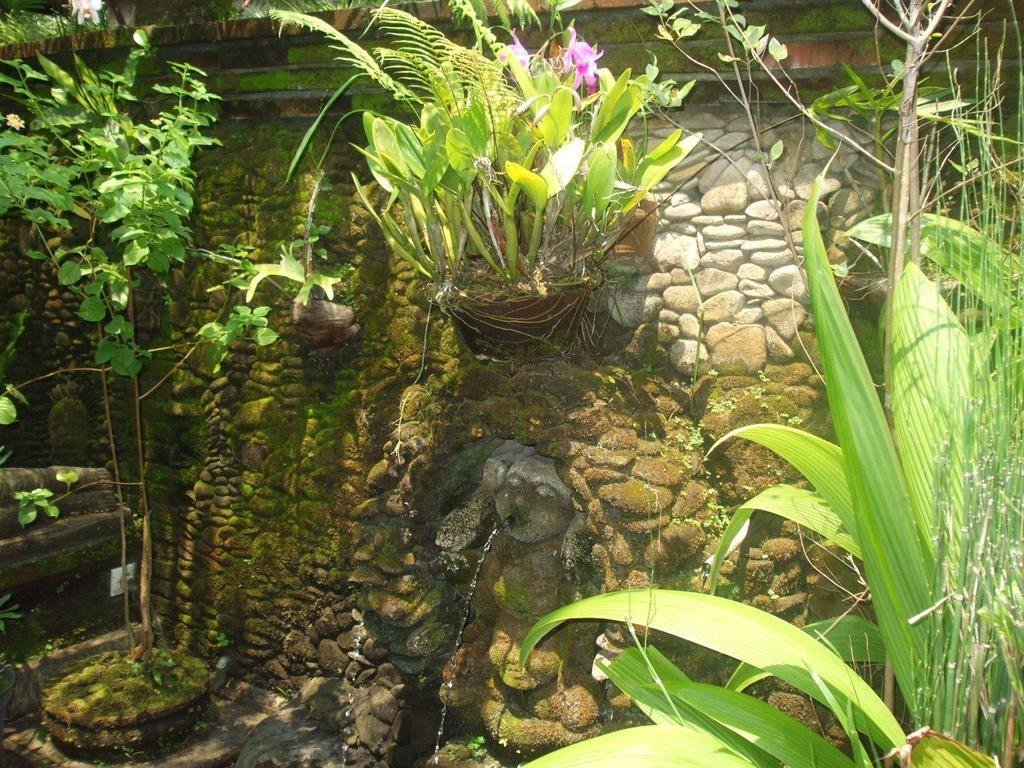 Villa Semana Resort Ubud Exteriér fotografie