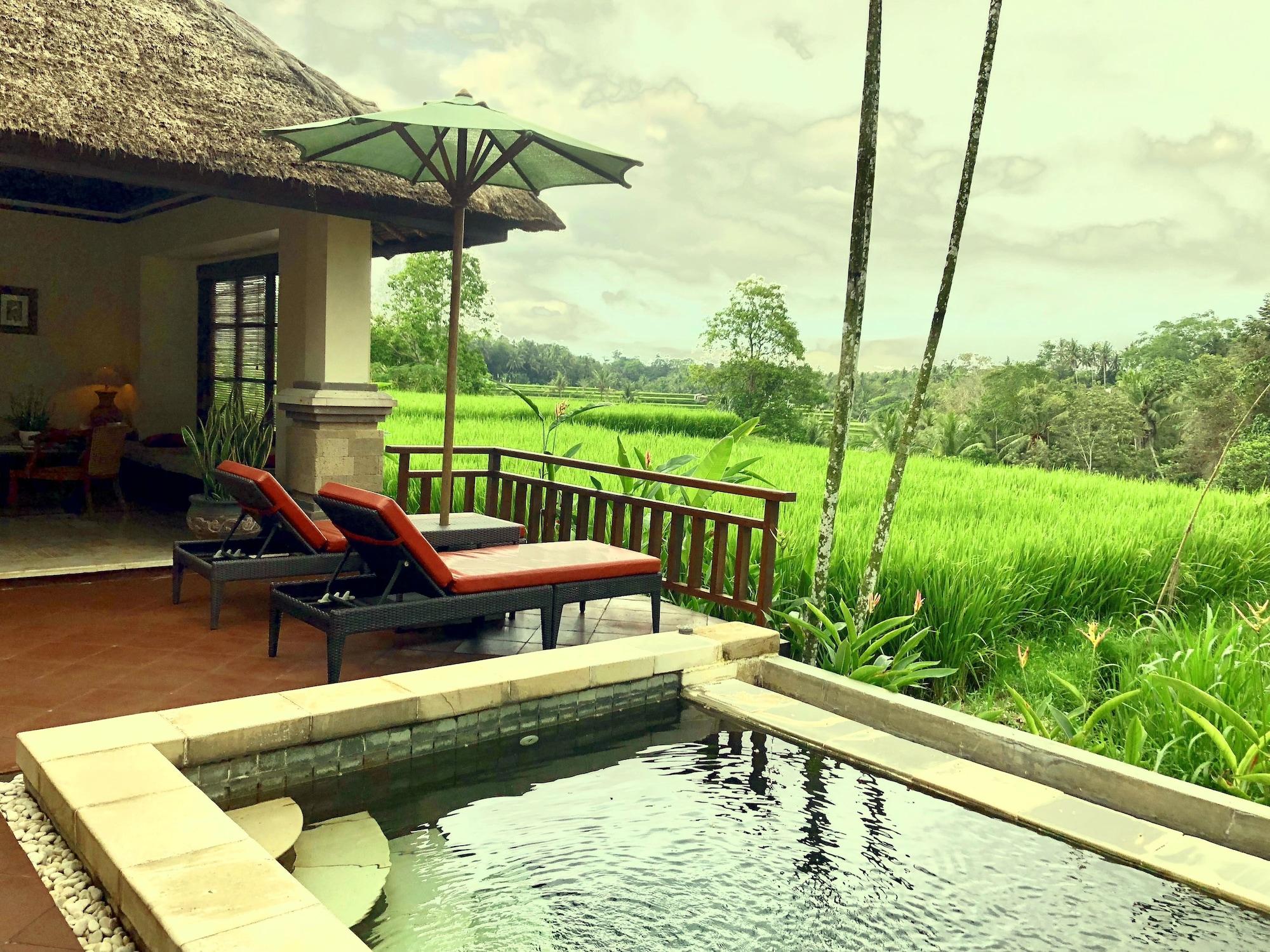 Villa Semana Resort Ubud Exteriér fotografie