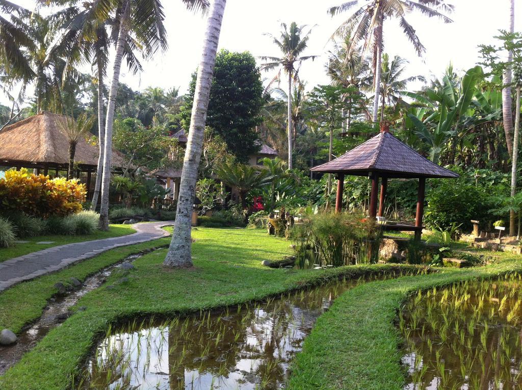 Villa Semana Resort Ubud Exteriér fotografie